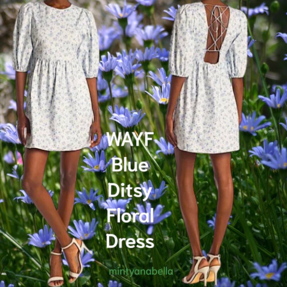 WAYF Ditsy Blue Floral Dress